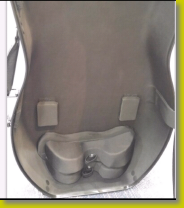 CELLO CASE 34.png